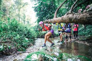 BIB: 
                            <button type="button" onclick="openModal(25453203)" class="btn btn-primary btn-sm float-right btn-popup" data-toggle="modal" data-target=".modal-high-quality">
                        <i class="fas fa-shopping-cart"></i> Add to Cart
                    </button>
                                            <button type="button" onclick="isThisMe(25453203, true)" class="btn btn-success btn-sm float-right btn-popup btn-isme hidden" data-toggle="tooltip" data-placement="bottom" title="นี่คือรูปของคุณใช่ไหม คลิกที่นี่เพื่อเอาเข้าอัลบั้ม">
                        <i class="fas fa-plus"></i> Add to album
                    </button>
                    <button type="button" onclick="isThisMe(25453203, false)" class="btn btn-warning btn-sm float-right btn-popup btn-isnotme hidden">
                        <i class="fas fa-ban"></i> Remove from album
                    </button>